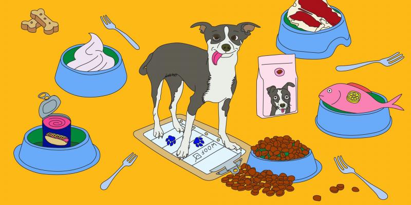 Jakie są zagrożenia związane z hurtowym zakupem karmy dla psów?