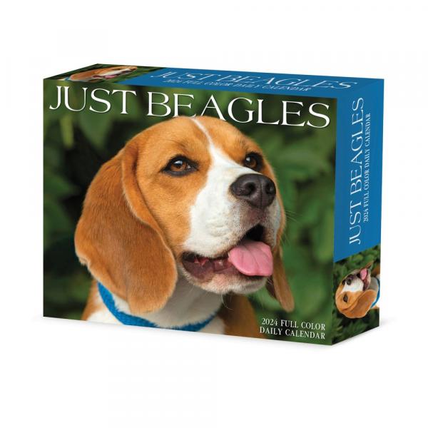 22 niezbędne akcesoria dla psa rasy beagle na dobry początek: Aktualizacja 2024