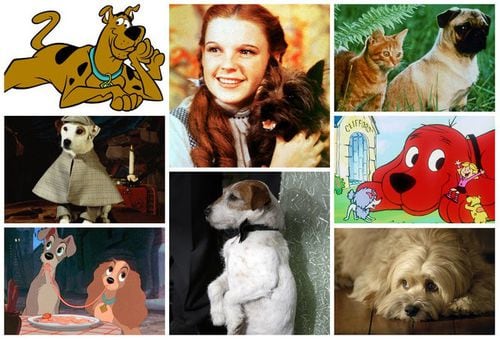 35 słynnych psów w telewizji i filmach (ze zdjęciami)