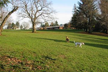 8. Fernhill Park