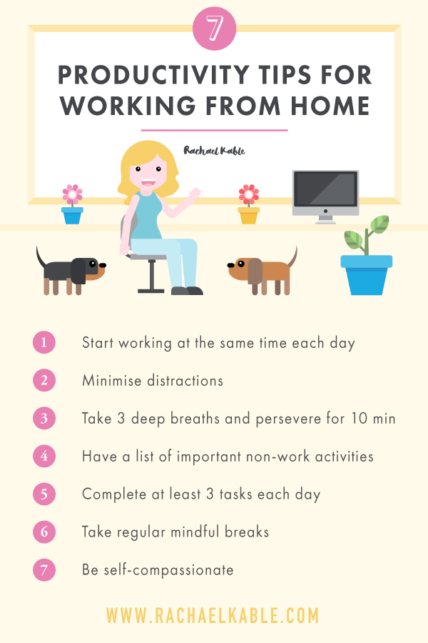 Praca w domu z psem? 7 wskazówek i najczęściej zadawanych pytań dotyczących produktywności