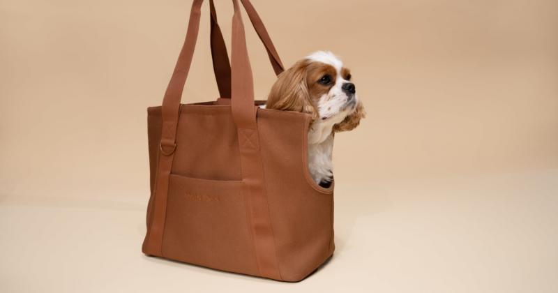 8. Mr. Peanut's Aspen Series Zatwierdzony przez linie lotnicze plecak dla zwierząt domowych