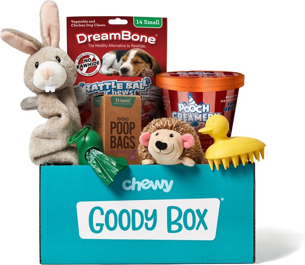 BarkBox vs Chewy Dog Subscription Box: Pełne porównanie 2024 Aktualizacja