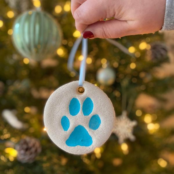 10 niesamowitych dekoracji i ozdób świątecznych dla psów (ze zdjęciami)