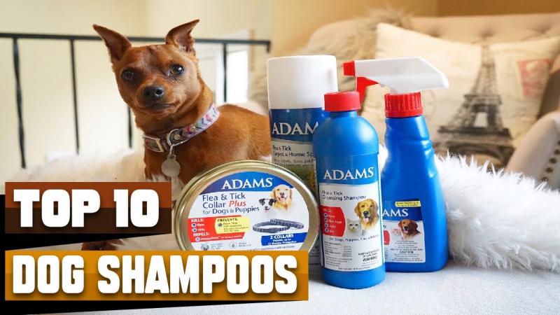 5. Najlepszy hipoalergiczny szampon dla psów od weterynarza