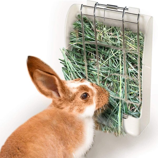 10 najlepszych podajników siana dla królików