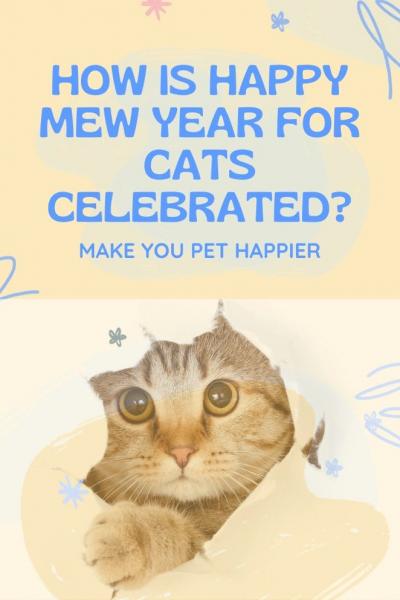 Historia Happy Mew Year dla kotów