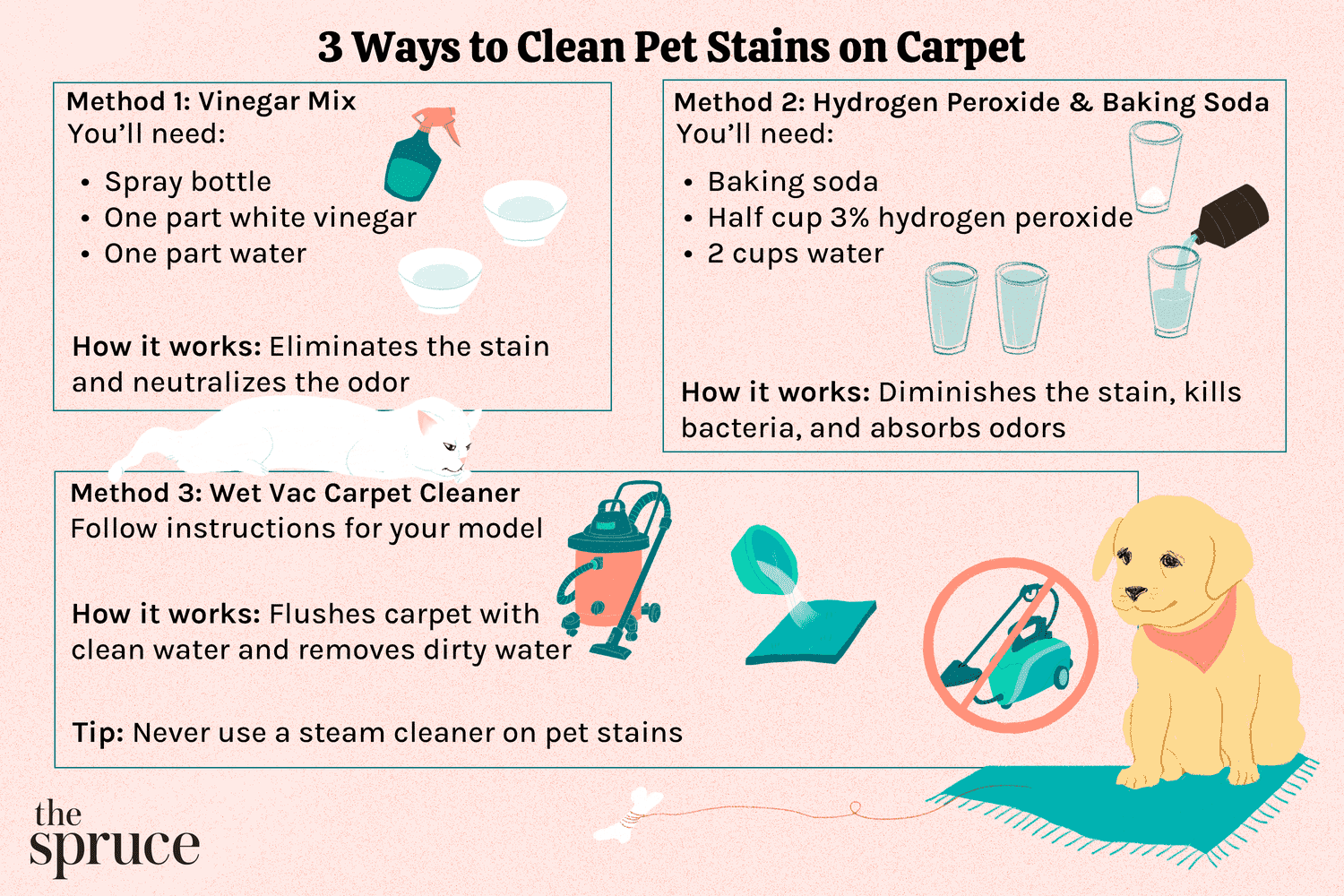 Jak pozbyć się zapachu psich odchodów z dywanów i wykładzin: 6 skutecznych metod