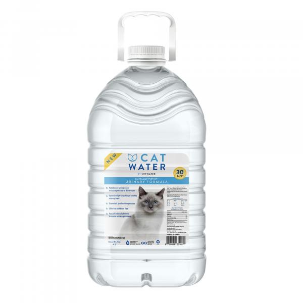 Czy należy podawać kotu wodę destylowaną?