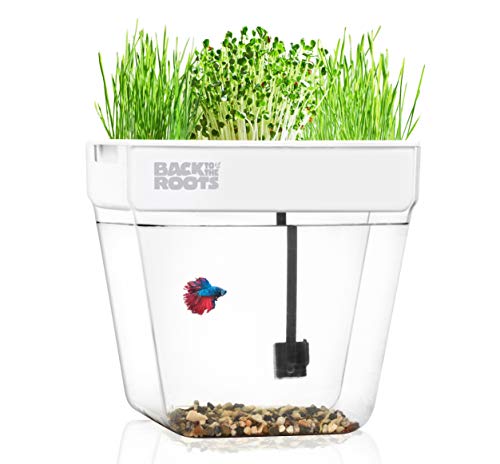 1. Kingro 5-w-1 Indoor Garden Ecosystem - najlepszy ogólnie