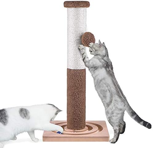 5 rodzajów drapaków dla kotów: Kluczowe różnice (ze zdjęciami)