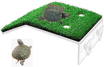 Konserwacja platformy dla żółwi wodnych