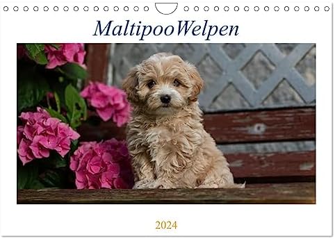 2. Milkbone Original Puppy Biscuits - najlepsza wartość