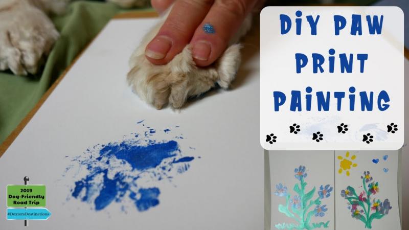 Jak zrobić odciski psich łap za pomocą farby: 8 porad ekspertów
