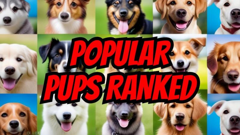 10 najpopularniejszych ras psów w New Jersey: aktualizacja 2024 (ze zdjęciami)
