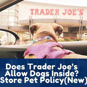 Dlaczego psy nie są akceptowane w Trader Joe's?