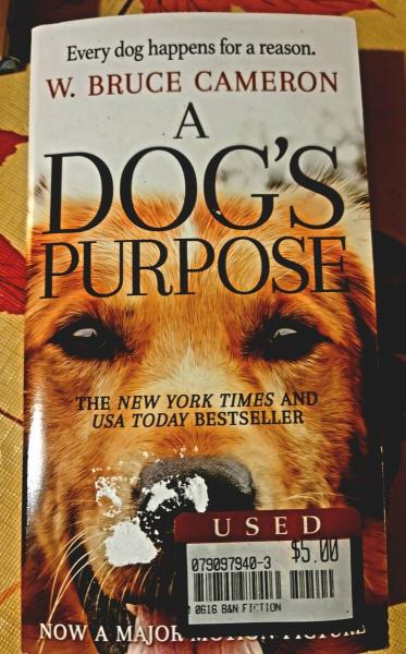 A Dog's Purpose: Powieść dla ludzi (Paperback)
