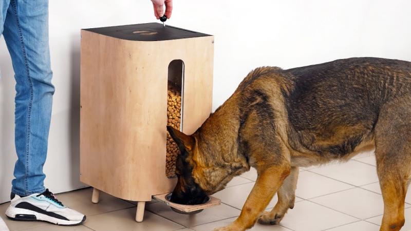 11 karmników dla psów do samodzielnego wykonania (ze zdjęciami)
