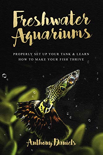 10 najlepszych książek o hodowli ryb w 2024 roku - recenzje i najlepsze pozycje