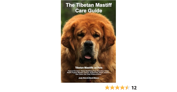 Szczenięta mastifa tybetańskiego