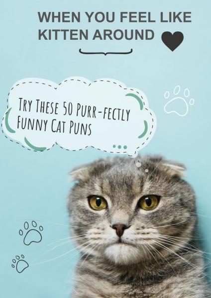 80 śmiesznych dowcipów o kotach: Just Kitten Around