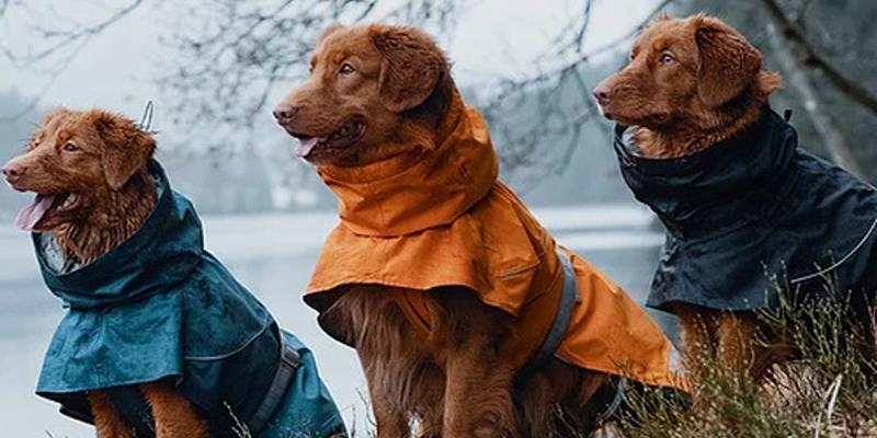 5. Płaszcz przeciwdeszczowy dla psa Frisco Reversible Packable Travel Dog Raincoat