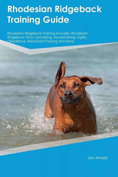 8 wskazówek dotyczących szkolenia Rhodesian Ridgebacka