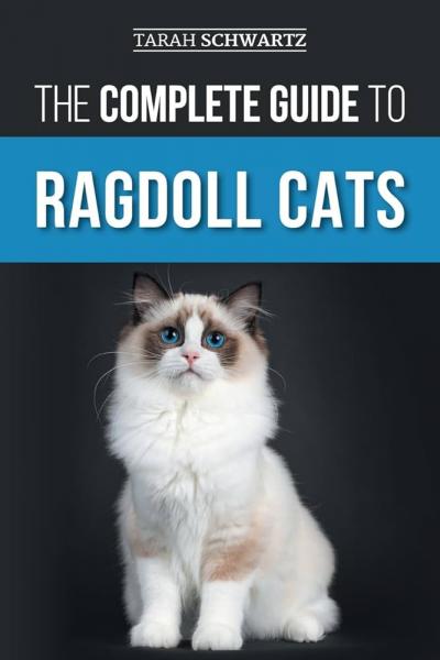 Dlaczego mój kot rasy Ragdoll kuleje? Fakty potwierdzone przez weterynarza i najczęściej zadawane pytania