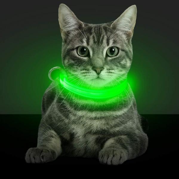 3. Obroża LED Candofly dla małych psów i kotów - wybór premium