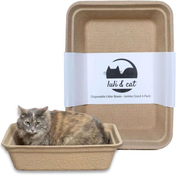 3. Petmate Booda Dome Clean Step Cat Litter Box - najlepszy wybór