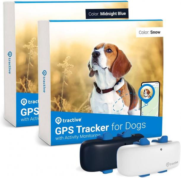 Czy lokalizator GPS dla psów Tractive to dobry wybór?