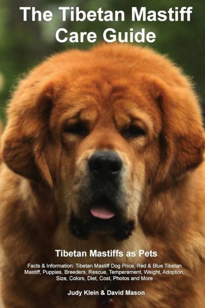 Temperament i inteligencja mastifa tybetańskiego