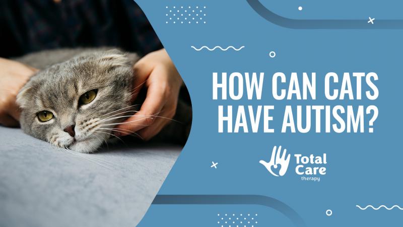 Czy koty chorują na autyzm? Informacje zdrowotne sprawdzone przez weterynarza
