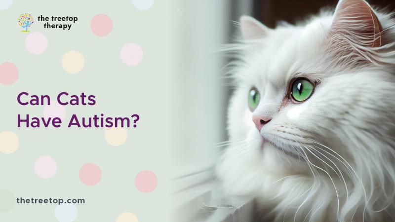 Czy koty mogą mieć autyzm? Fakty i najczęściej zadawane pytania