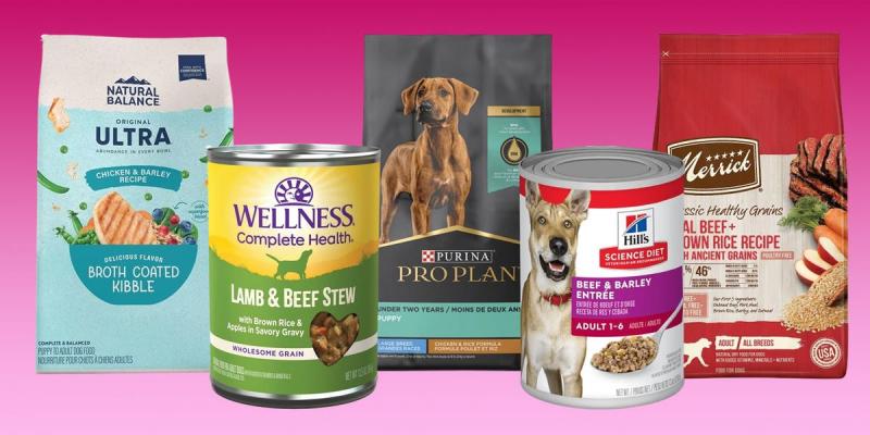 8 najlepszych karm dla psów z zapaleniem stawów w 2024 roku - recenzje i najlepsze propozycje