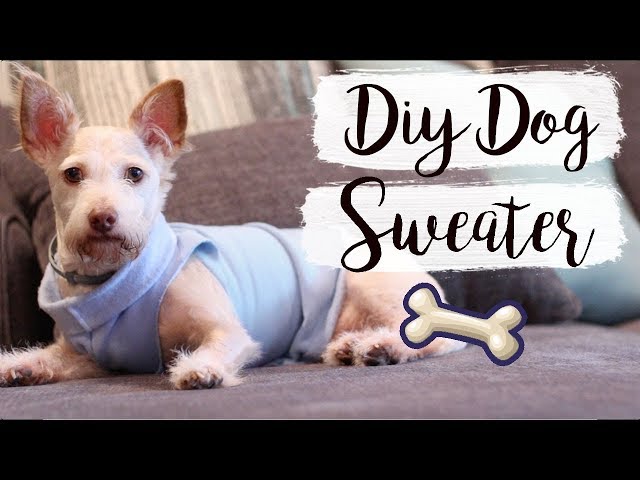 2. DIY sweter dla psa bez szycia według Refashionista