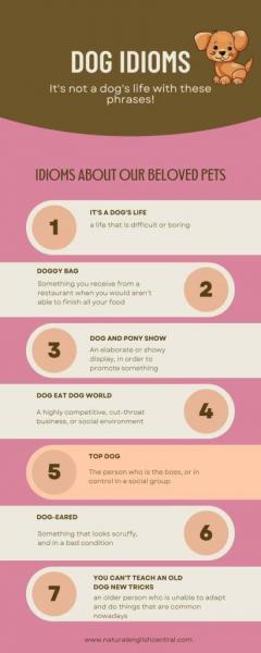 7. Dog-Eat-Dog World