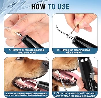 3. Zapoznaj psa ze szczoteczką i pastą do zębów.