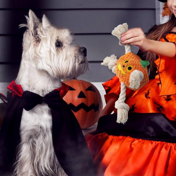 8. Frisco Halloween Ghost Pluszowa piszcząca zabawka dla psa