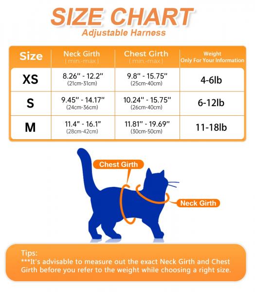 3 wskazówki dotyczące mierzenia szelek dla kota