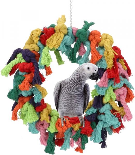 6. JW Pet Activitoy Birdie Bell Toy