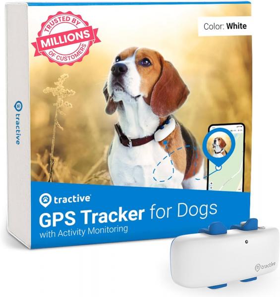 Czego można oczekiwać od lokalizatora GPS dla psów Tractive?