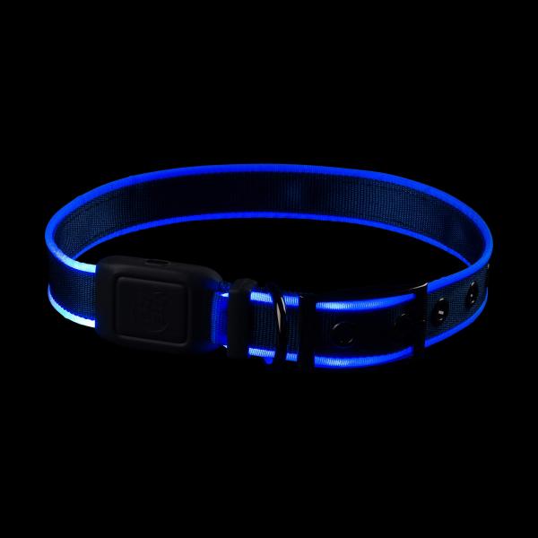 NiteDog LED Collar Cover - ceny