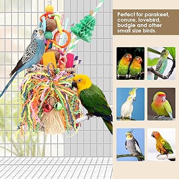 11 bezpiecznych materiałów do produkcji zabawek dla ptaków (ze zdjęciami)