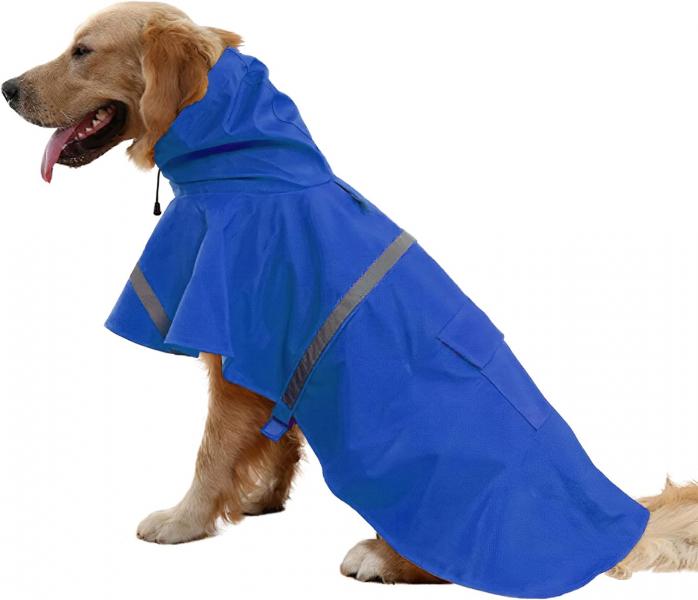 9 najlepszych płaszczy przeciwdeszczowych dla psów