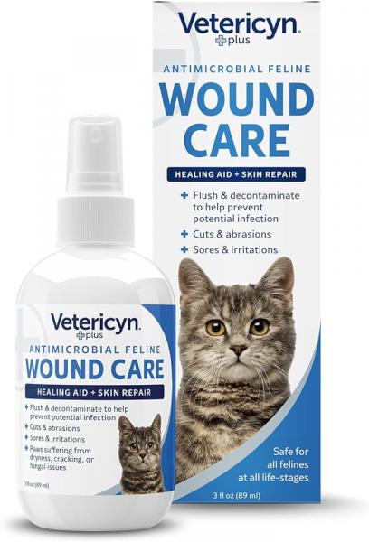 6 zatwierdzonych przez weterynarza domowych sposobów leczenia ran u kotów