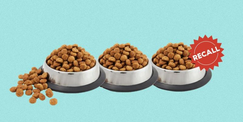 Aldi Pure Being Dog Food Review 2024: Recalls, Plusy i minusy