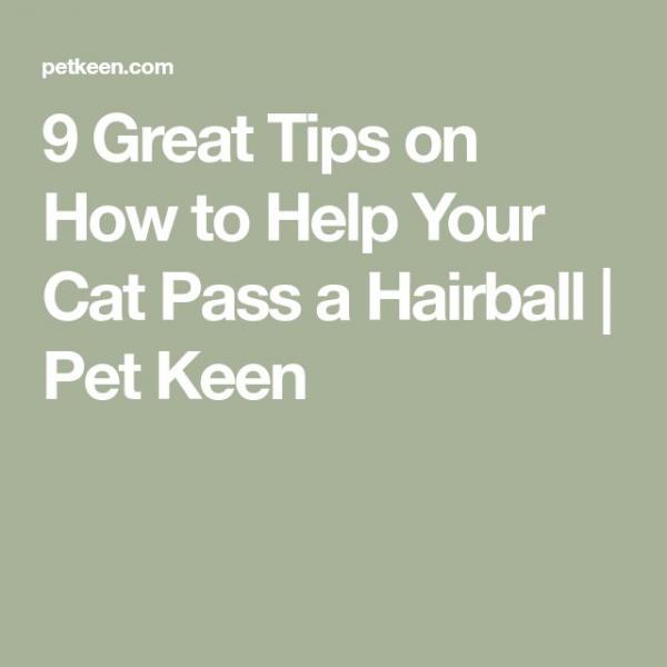 9 najważniejszych wskazówek, jak pomóc kotu pozbyć się kuli włosowej