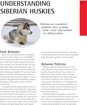 Jak pielęgnować husky: 10 porad i wskazówek ekspertów