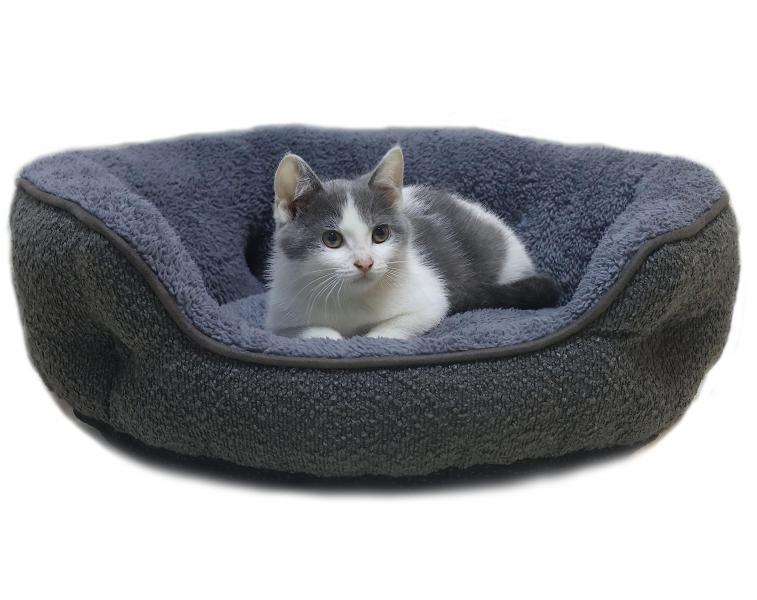 7. Hepper Princess Cat Bed